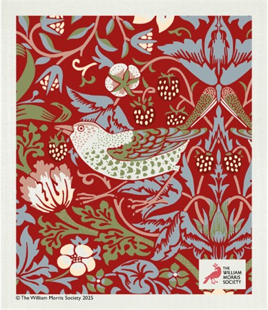 Disktrasa Strawberry Red